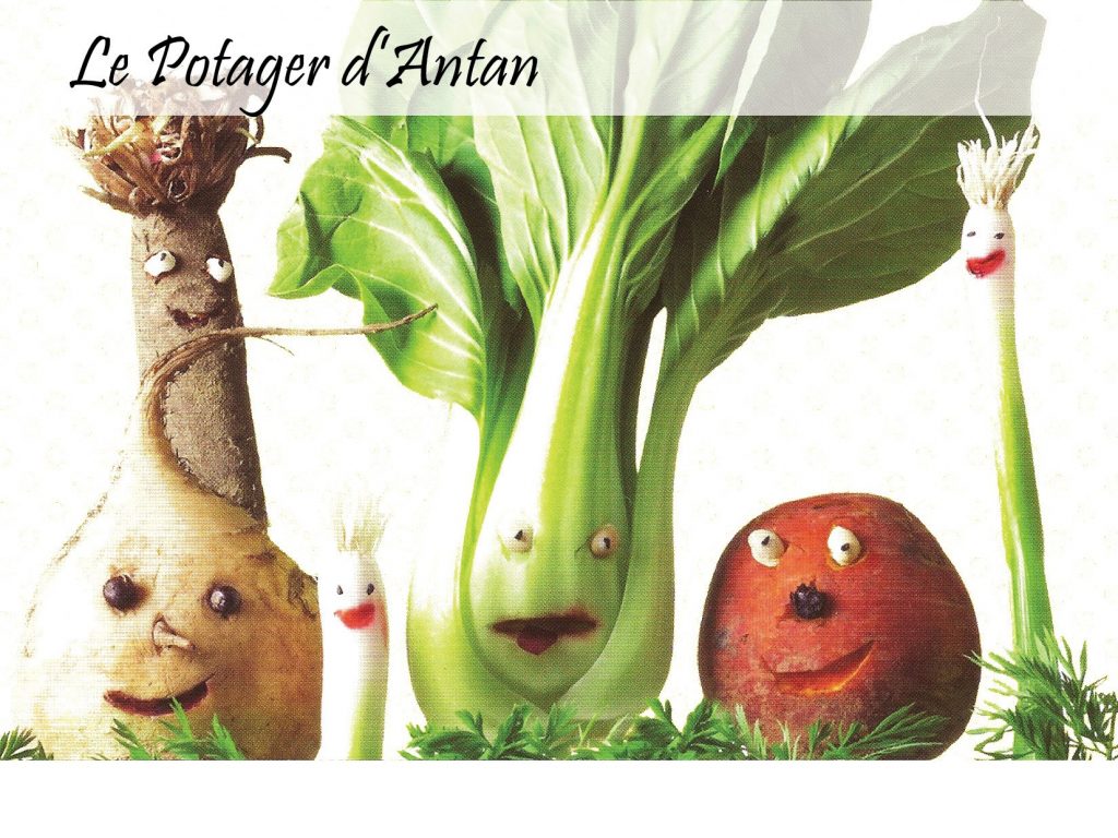 Le Potager d’Antan