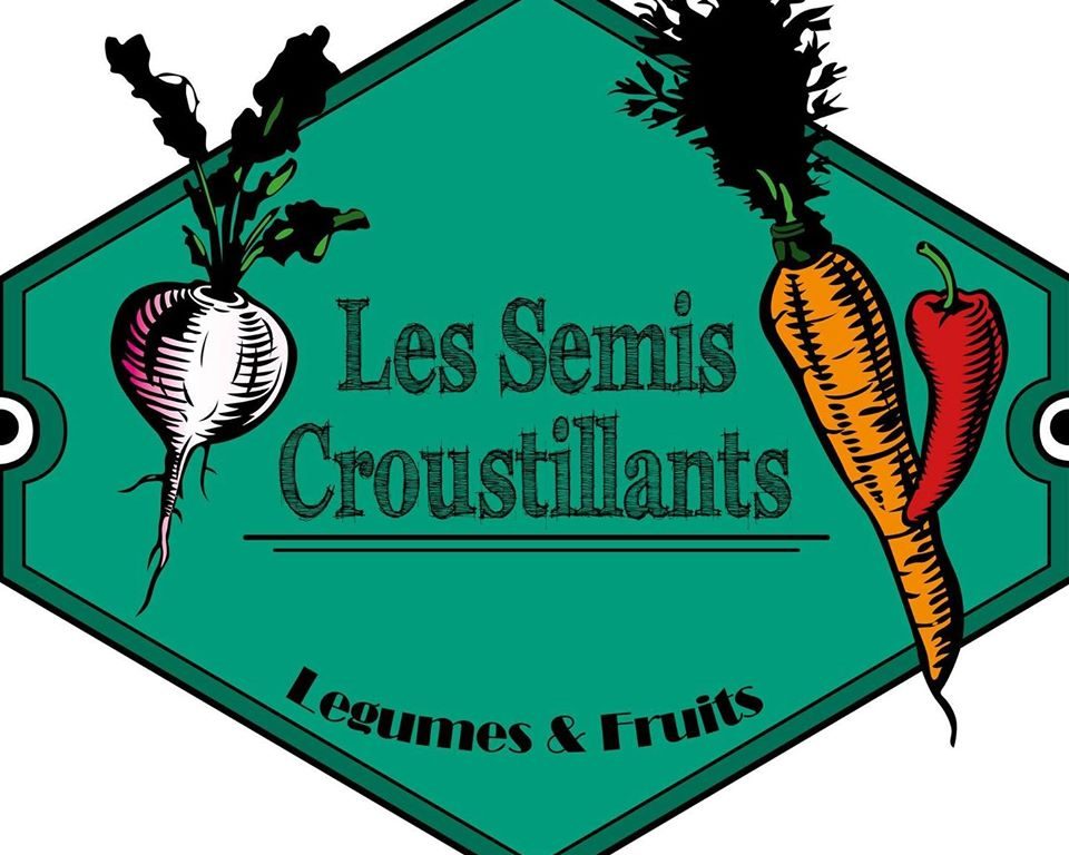 LES SEMIS CROUSTILLANTS SASPJ