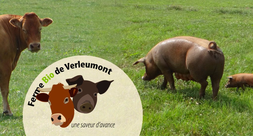 FERME BIO DE VERLEUMONT Scs