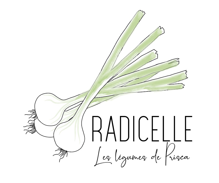 Radicelle – Les légumes de Prisca
