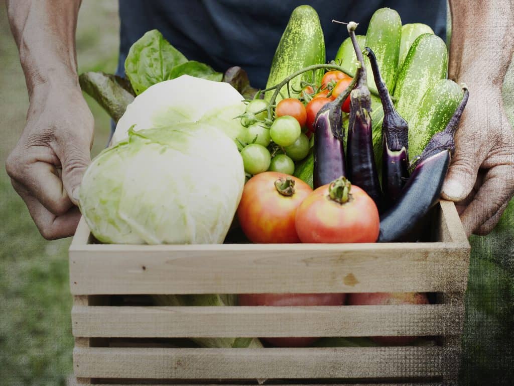 Quel avenir pour le circuit court et la vente locale de légumes?