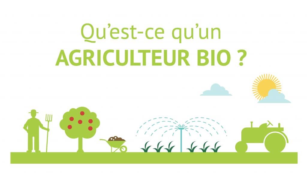 Variétés conseillées en maraîchage biologique en Région Wallonne