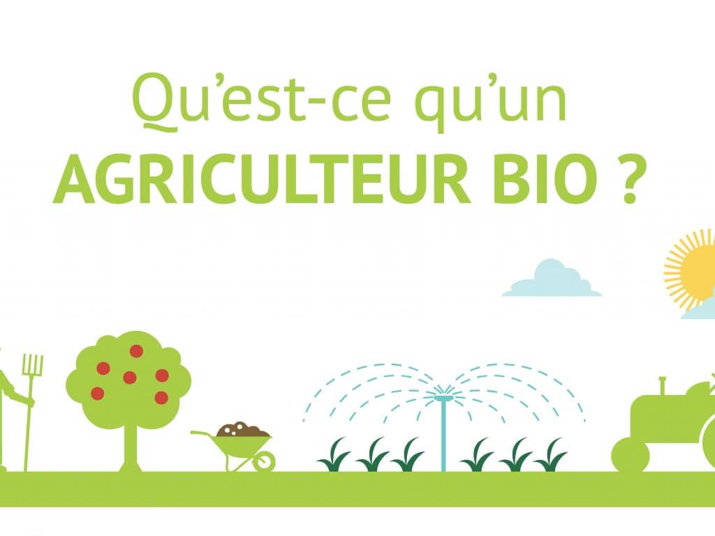 Panneaux didactiques – secteur bio