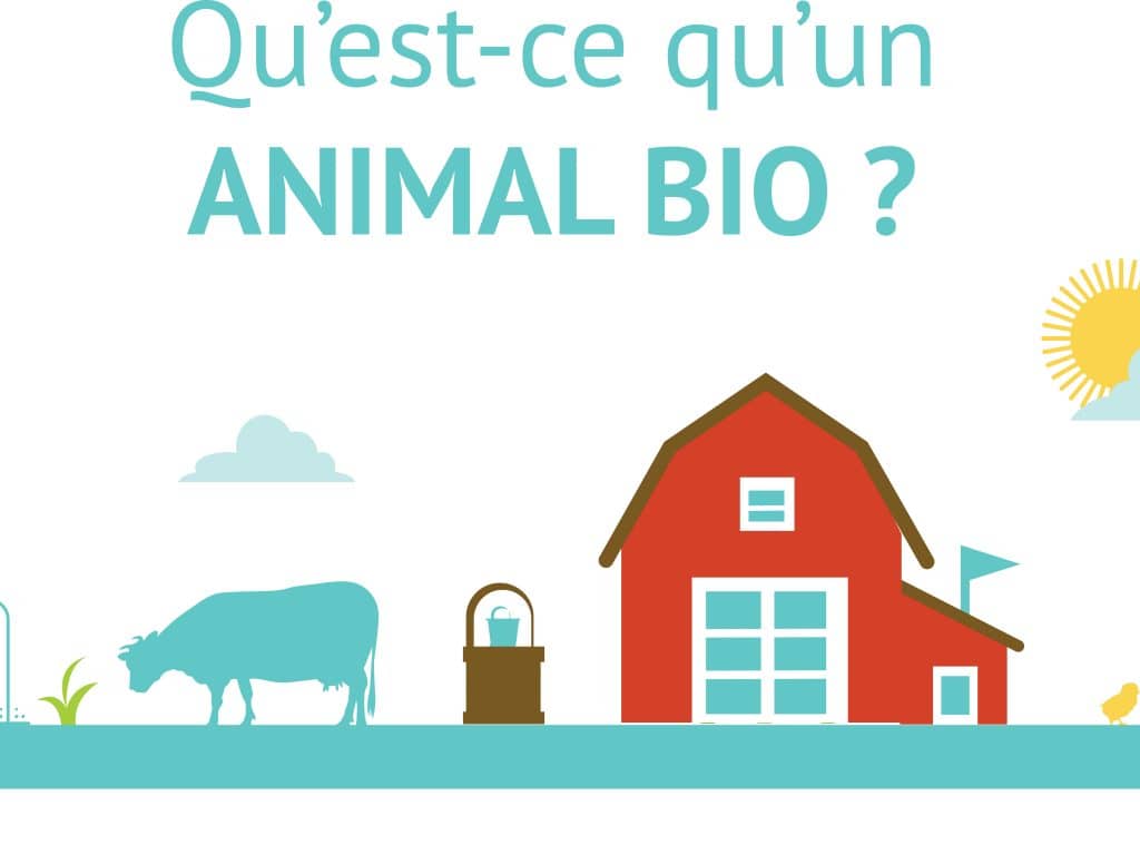 Panneau: « Qu’est ce qu’un animal bio »