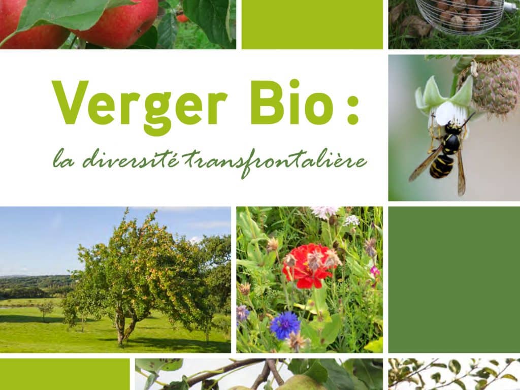 Verger bio : la diversité transfrontalière (2014)