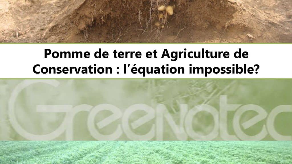 Cycle de formations sur le verger haute tige de variétés anciennes de pommes