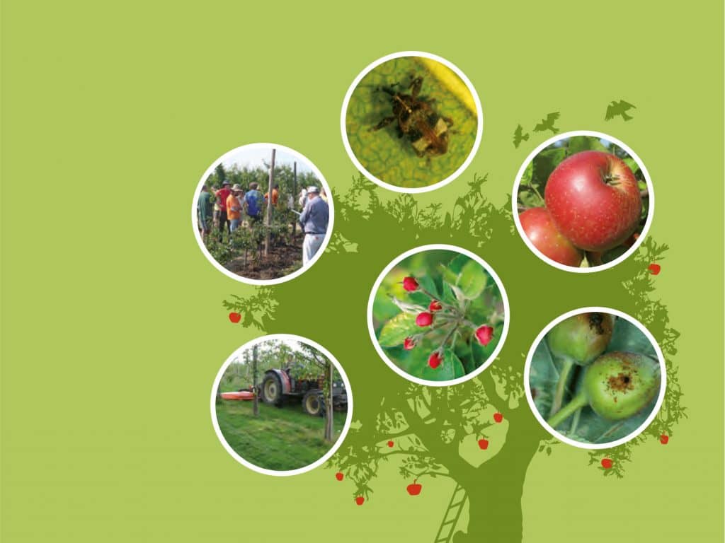 Les principales clés du verger bio transfrontalier – Pommes et poires – une approche globale (2014)