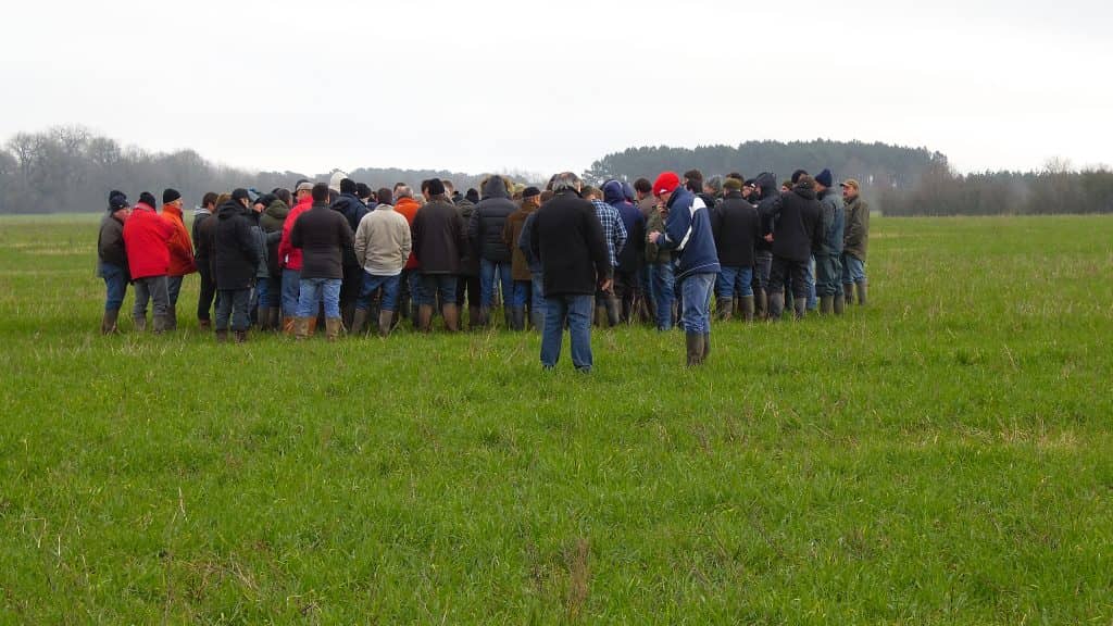 Cycle de formations sur le verger haute tige de variétés anciennes de pommes