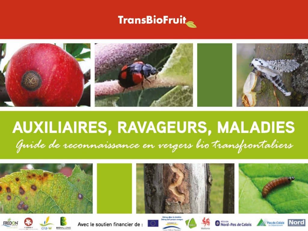 Auxiliaires, ravageurs, maladies : Guide de reconnaissance en vergers bio transfrontaliers (2014)