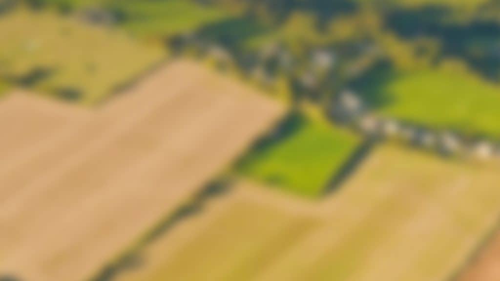 Visite de l’houblonnière bio « De Plukker »