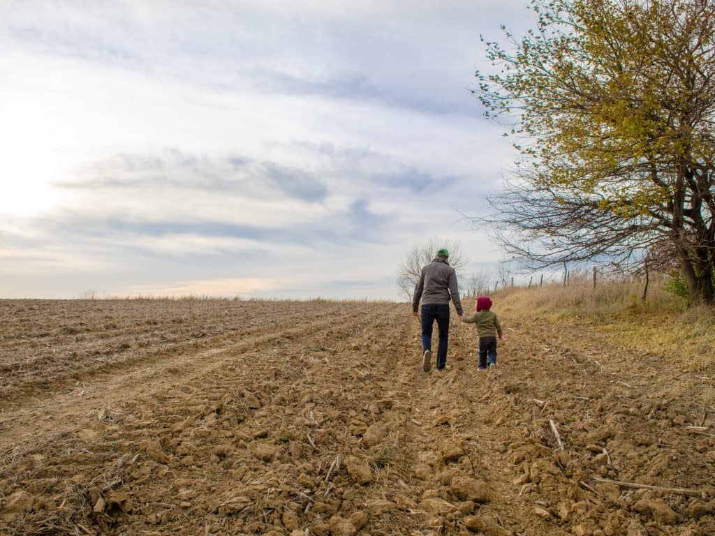 Refonte du Plan Stratégique bio : une Wallonie audacieuse !