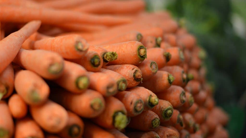 Conférence : les conditions de travail et d’emploi dans la production de légumes pour le marché du frais en Région wallonne