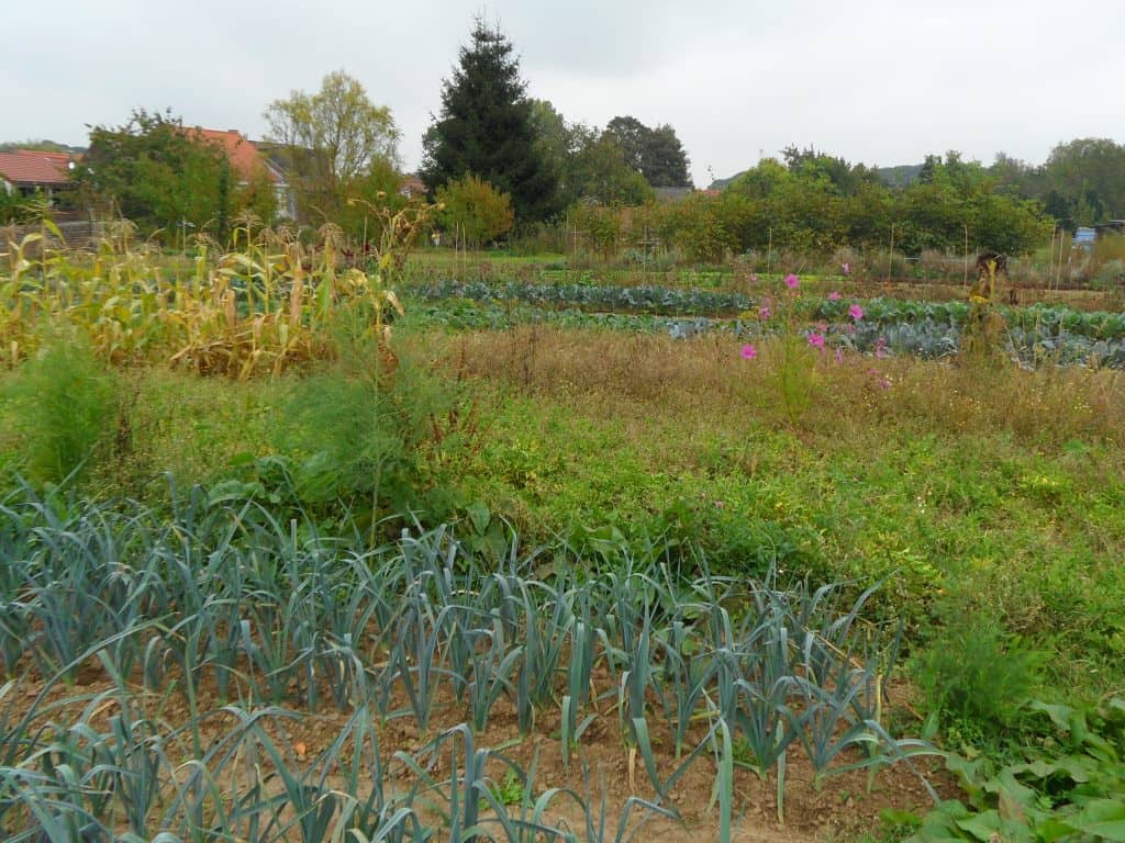 Stage : Pratique de design en Permaculture par Cense Equi-voc