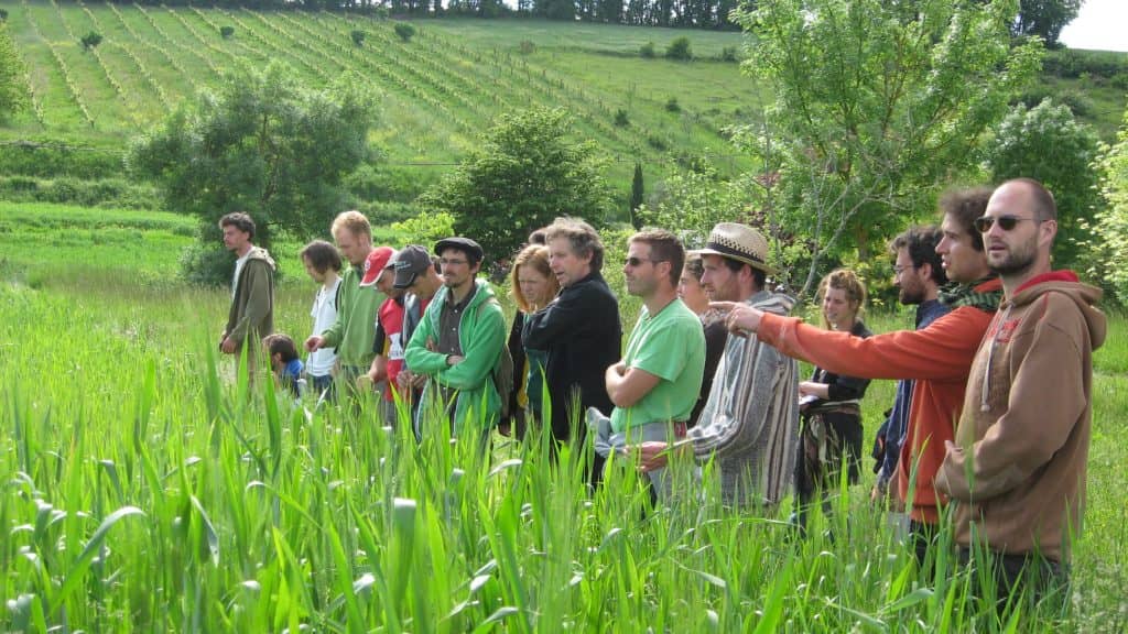 Comment passer ma ferme en bio? Visite d’une ferme bio légumes plein champ.