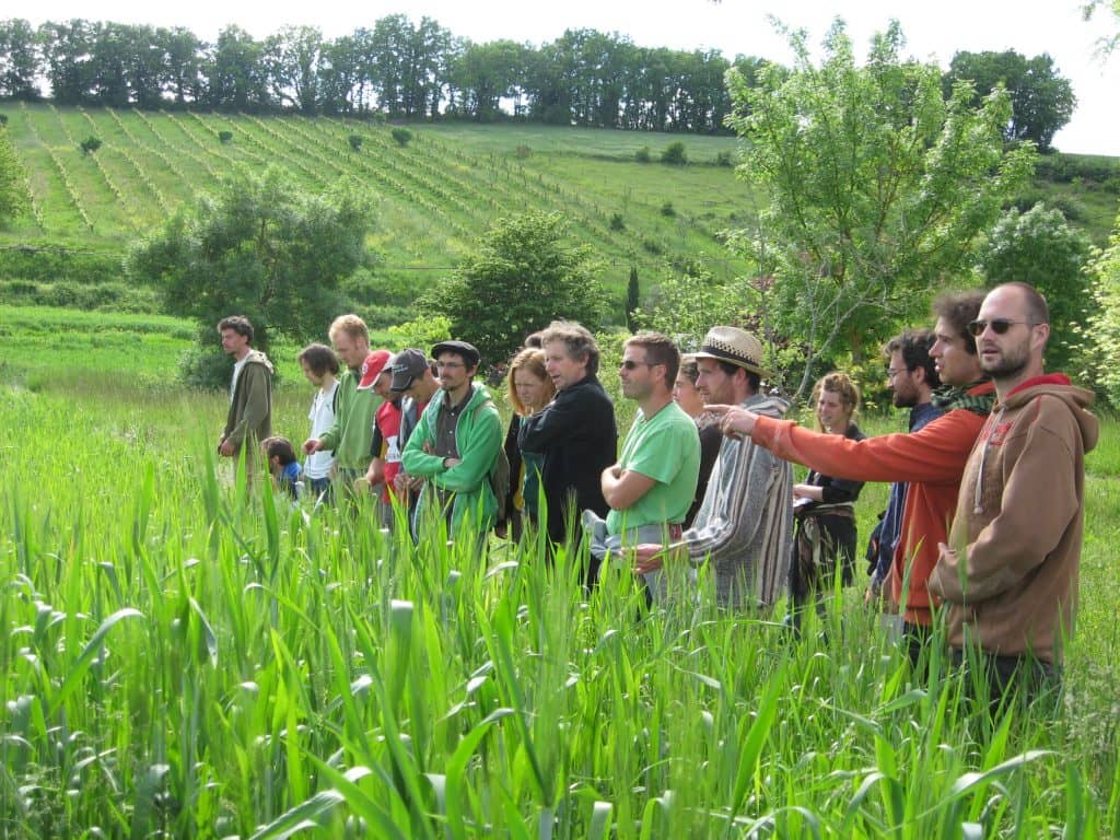 Formation diplômante en agriculture biodynamique