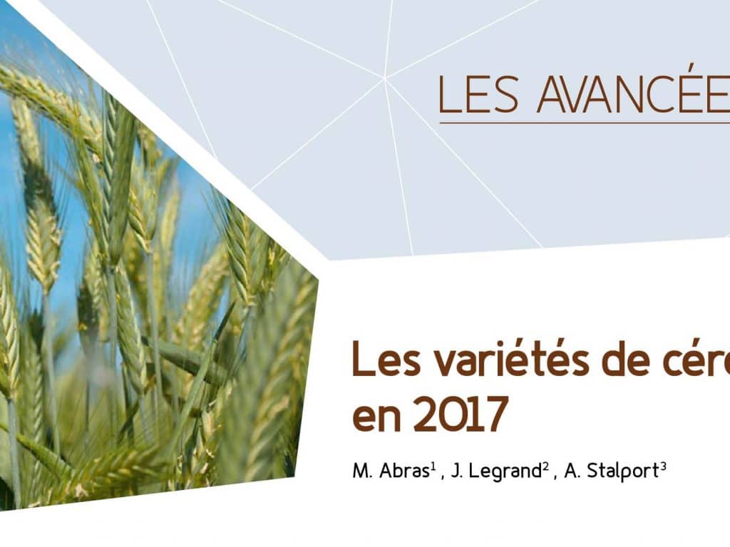 Les variétés de céréales bio en 2017