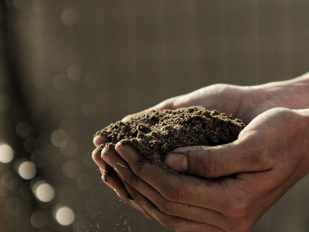 Les fondements de l’agriculture biodynamique (16 & 17 mars)