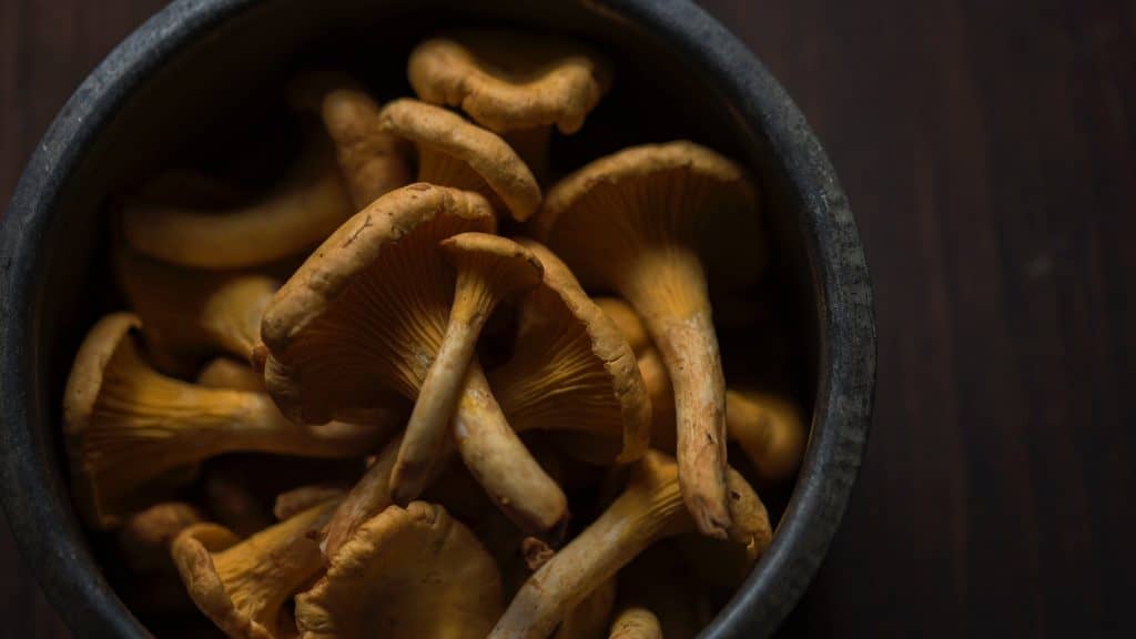 Développement d’une filière céréalière bio au Moulin de Ferrières – 6 déc