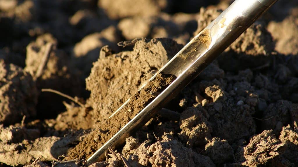 Développement d’une filière céréalière bio au Moulin de Ferrières – 6 déc
