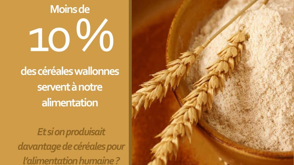 Conférence sur la production d’un lait de qualité différenciée : « Quand l’augmentation de la valeur nutritionnelle se conjugue avec un système d’élevage plus durable ».