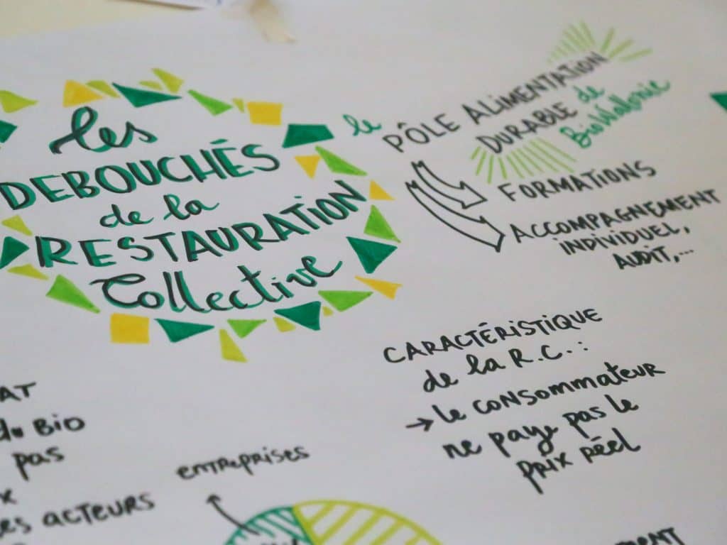 Approvisionner le secteur de la restauration  collective