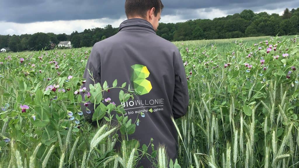 Spécialisation en agriculture bio — Haute Ecole de la Province de Namur