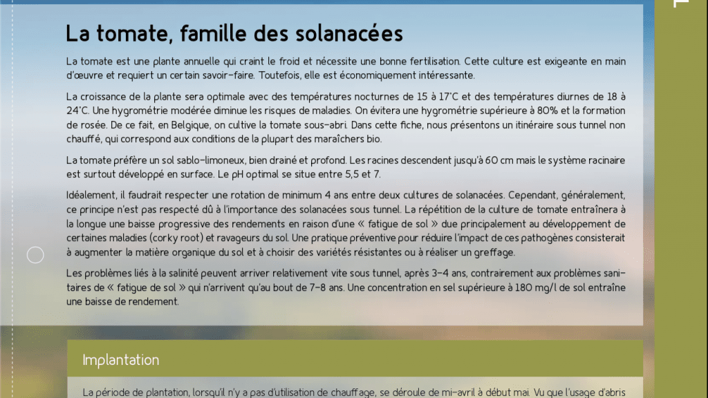 Fiche technique – Le tournesol bio