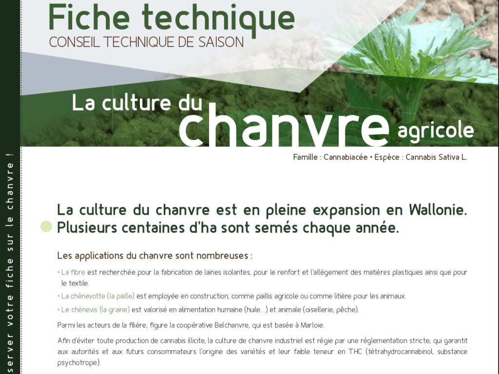 Fiche technique : le chanvre