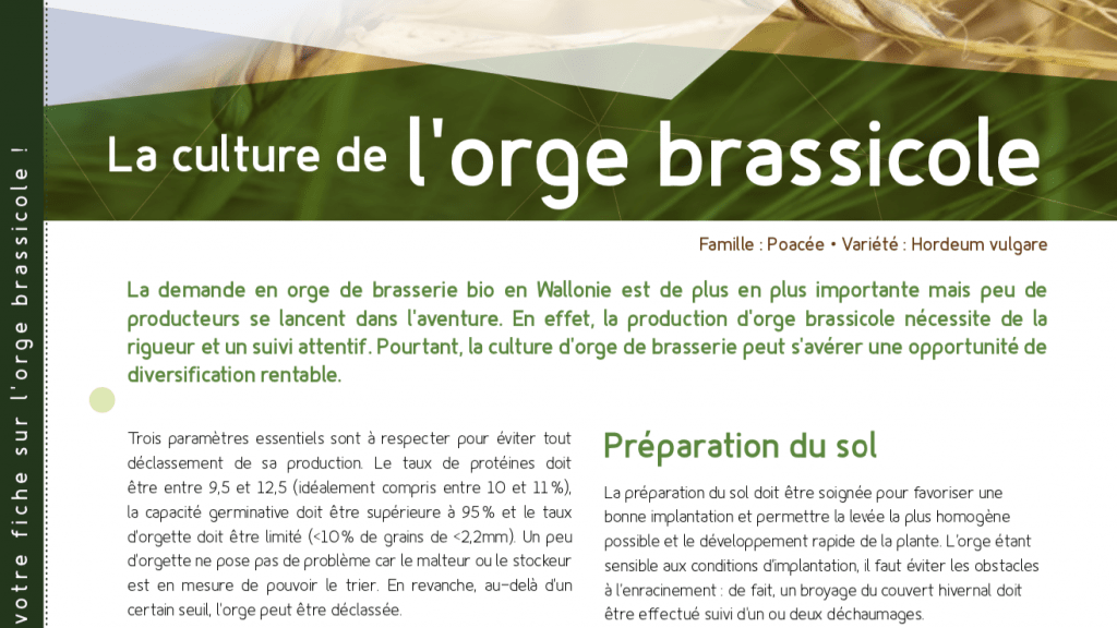 Fiche technique – Le tournesol bio