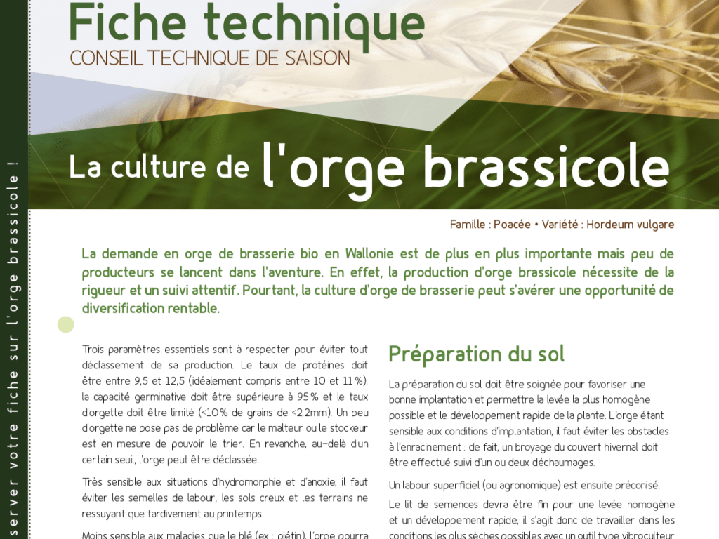 Fiche technique : l’orge de brasserie