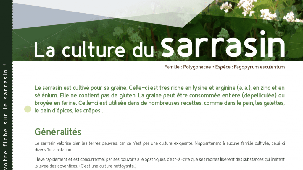 Fiche technique – Le tournesol bio