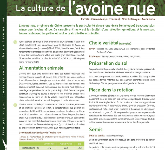 Fiche technique – Le tournesol bio