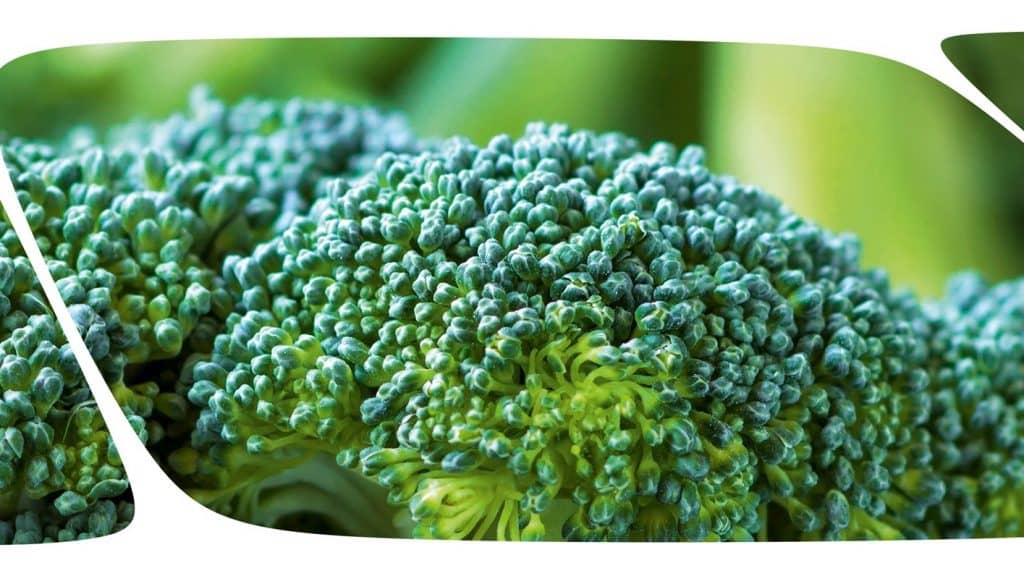 26—28.01 | Saveurs&Métiers 2020