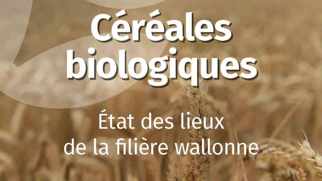 Les circuits-courts en Wallonie : où en sommes-nous ?