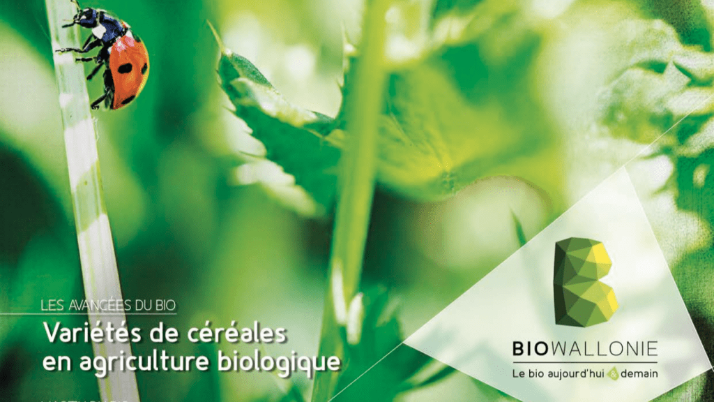 Itinéraires Bio