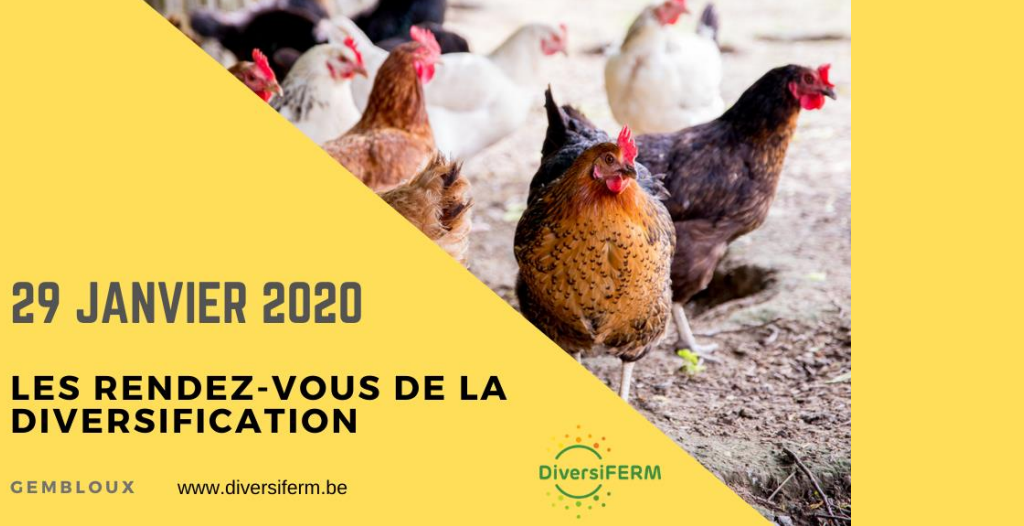 Carrefour des Ruralités #3