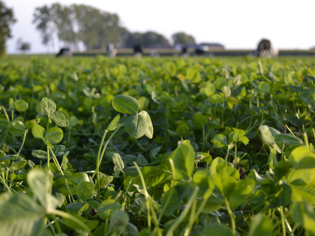 Les Chiffres du Bio 2019