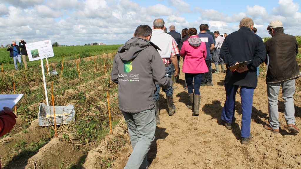 Visite de cultures houblonnières et transformation brassicole