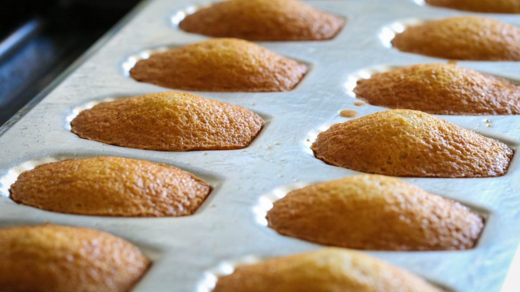 Interpom – Atelier et présentation de la liste des « Variétés de pommes de terre Robustes » de 2022