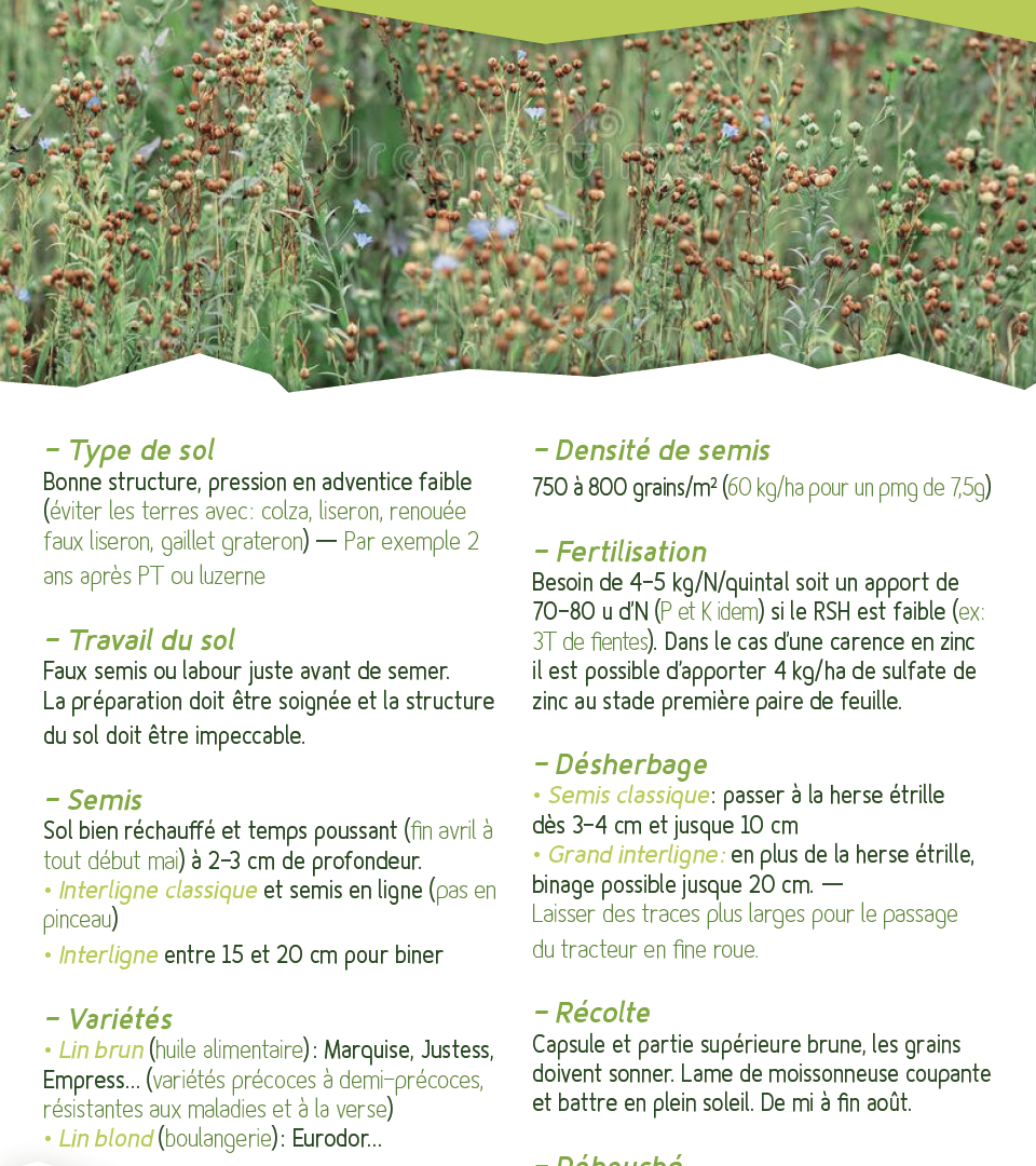 Fiche technique – Le tournesol bio