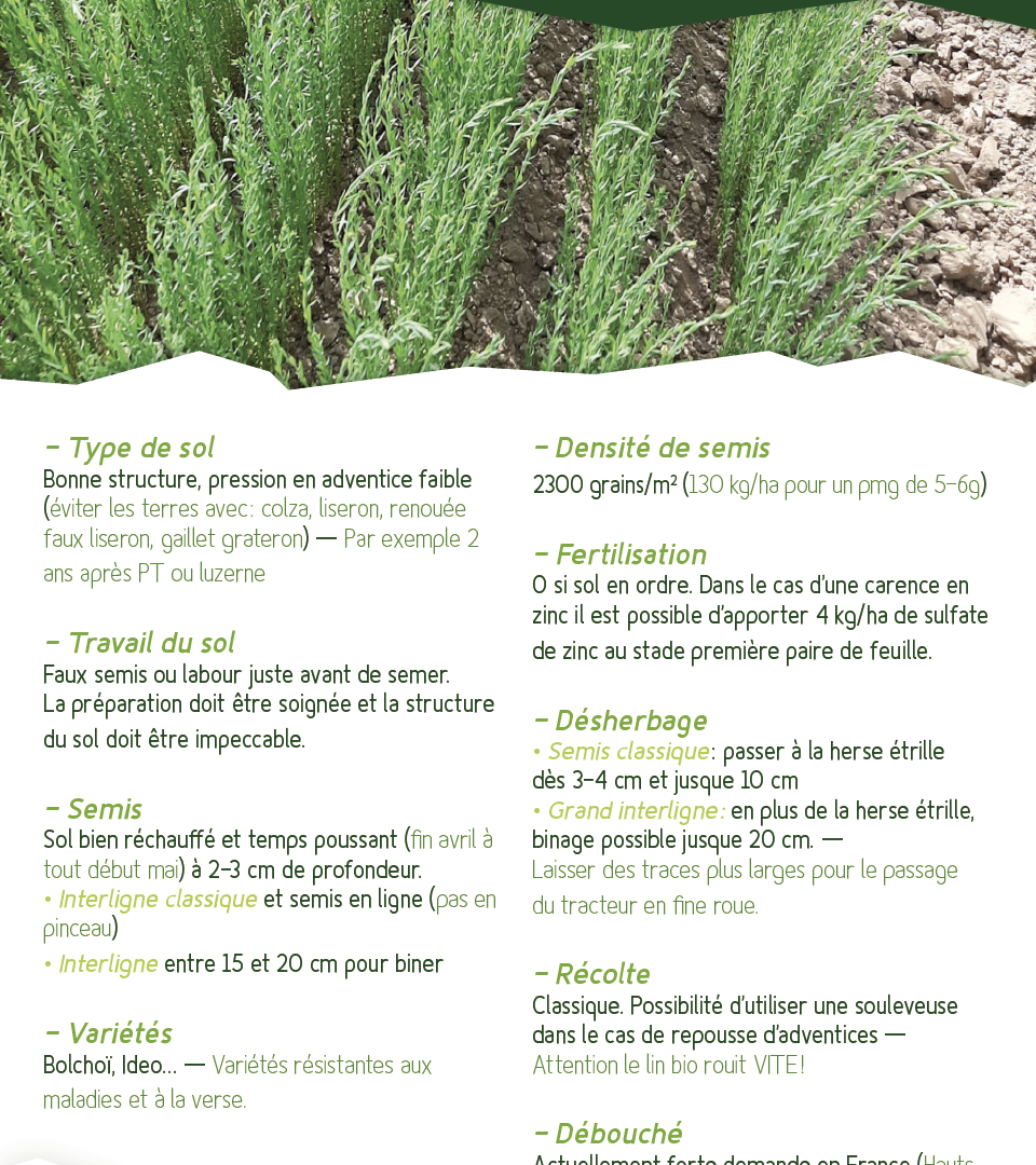 Fiche technique – Le tournesol bio