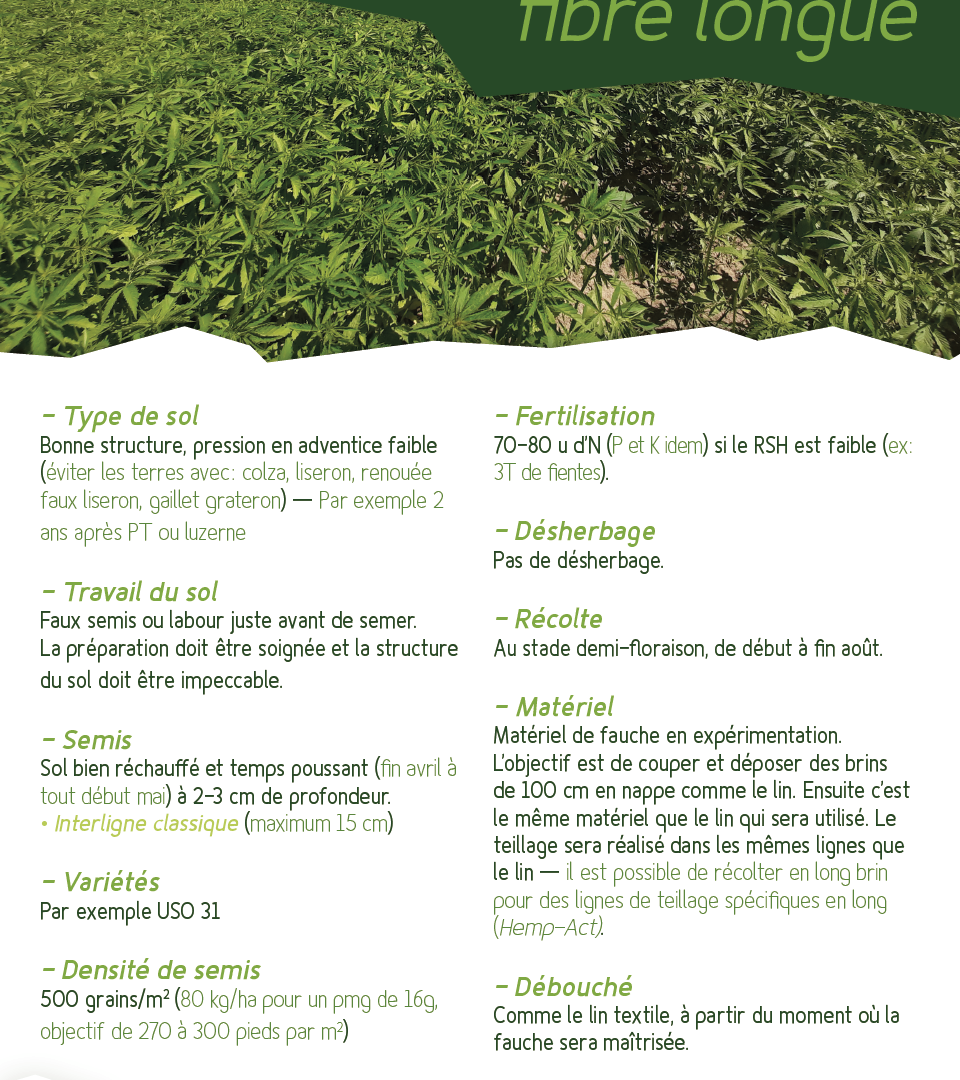 Fiche technique – Le tournesol bio