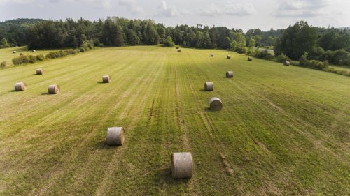 Appel à candidat.e.s : Sécuriser votre accès à la terre ?  C’est possible avec Terre-en-vue !