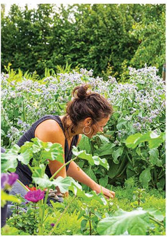 Un projet d’installation en maraîchage, horticulture, herboristerie?