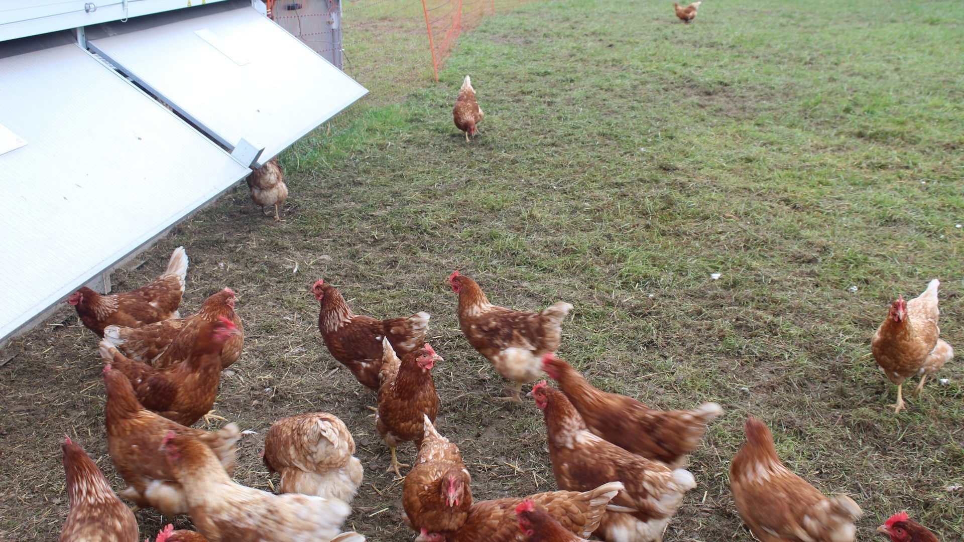 Séance d’information sur l’agriculture biologique