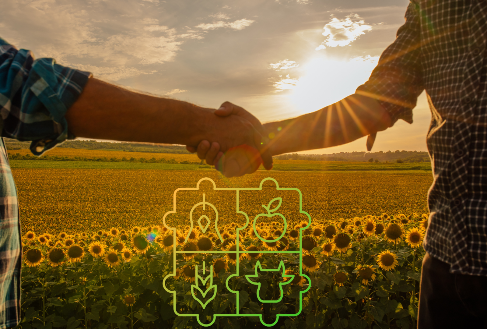 Séance d’information sur l’agriculture biologique