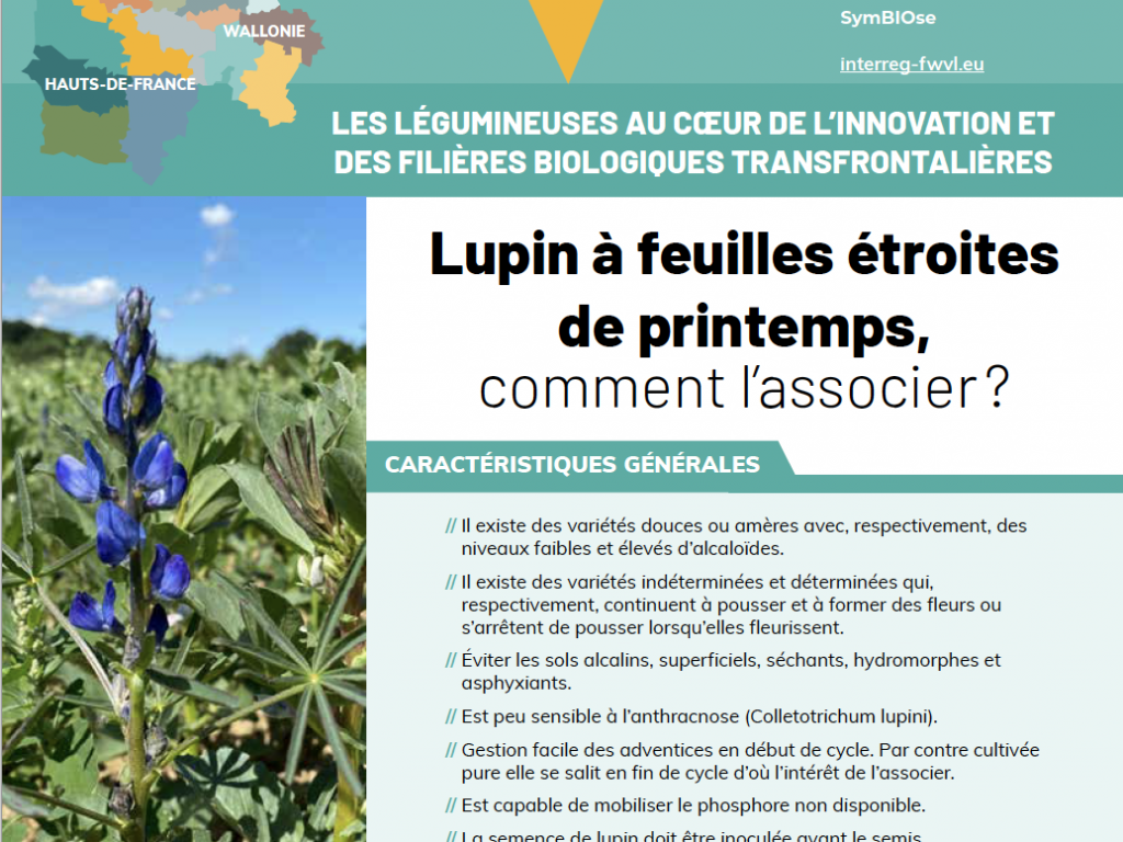 SymBIOse – Lupin à feuilles étroites de printemps, comment l’associer ? (2022)