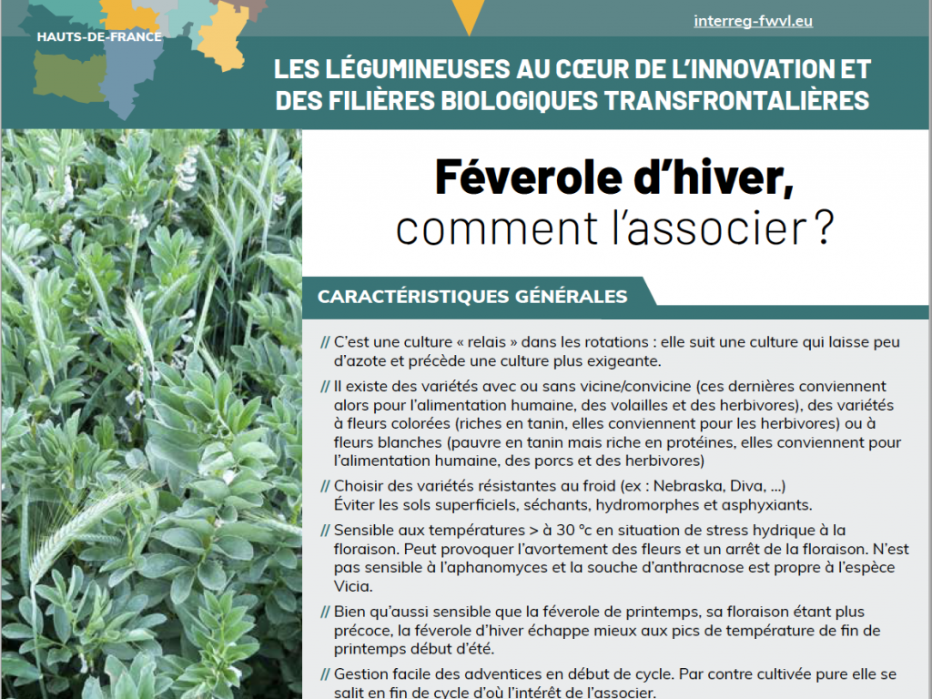 SymBIOse – Féverole d’hiver, comment l’associer ? (2022)