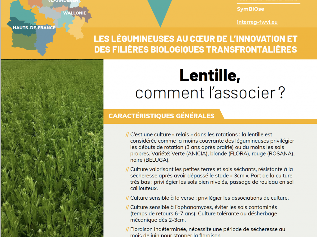 Fiche technique – Lentille, comment l’associer ?