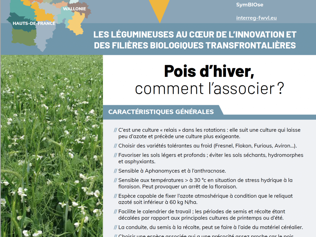 SymBIOse – Pois d’hiver, comment l’associer ? (2022)